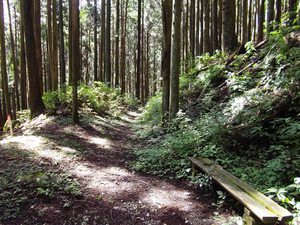 豊川上流域　東海自然歩道を下調べ