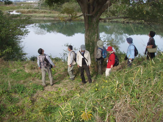 牛川の霞