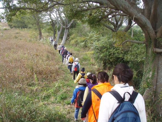 牛川の霞