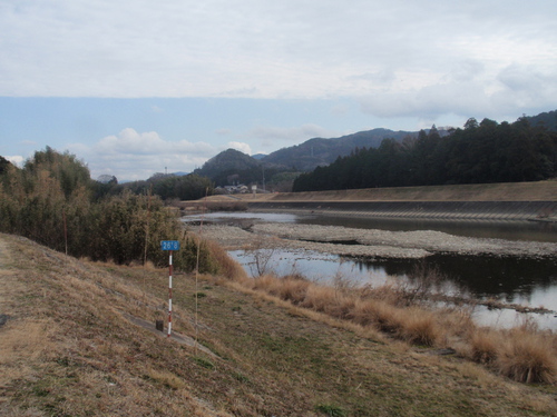 久しぶりの豊川中流