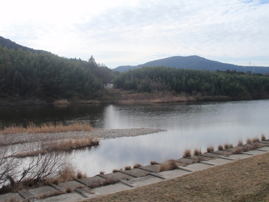 久しぶりの豊川中流