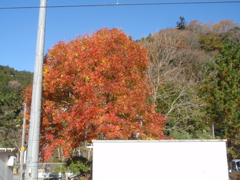 東栄町かいわいの最近いろいろ