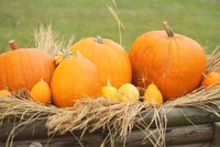 Happy Halloween in Canada