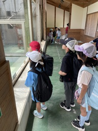 のんほいパークへLet's go！