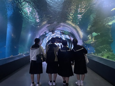 水族館満喫！その2