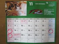 １１月のお休みのお知らせ～