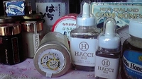 ハチコレ　２０１０　