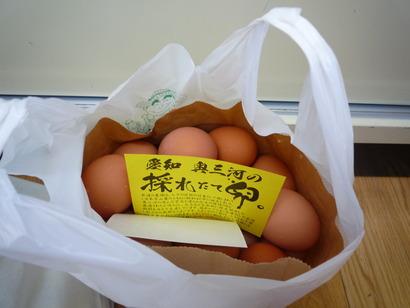こんなに買ってみました♪