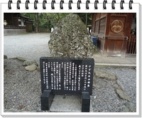 お出掛けパート1♪