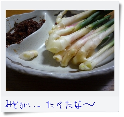 作りました♪