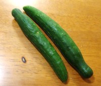 りっぱに育ちました♪