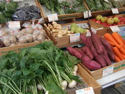 野菜サラダと