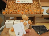 野菜サラダと