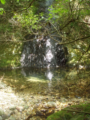 宇連川の最上流を目指して