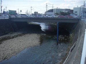 のどかな柳生川