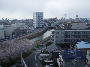 のどかな柳生川