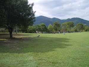 遊びがいっぱい　新城総合公園