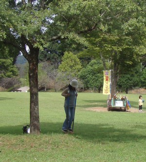 遊びがいっぱい　新城総合公園