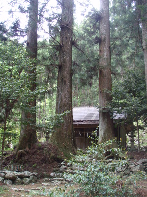 宇連川最上流探訪その３