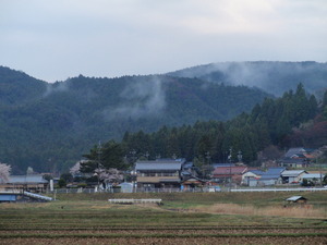 豊川中流山里の桜と若葉