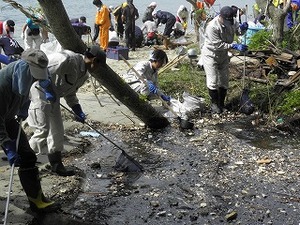 みんなで守ろう！鳴き砂の浜