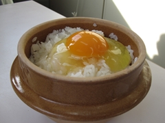 東三河のたまご