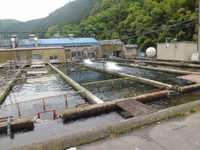 奥三河は凄い！