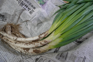 食材紹介　その１