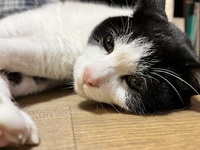 ★本日から★