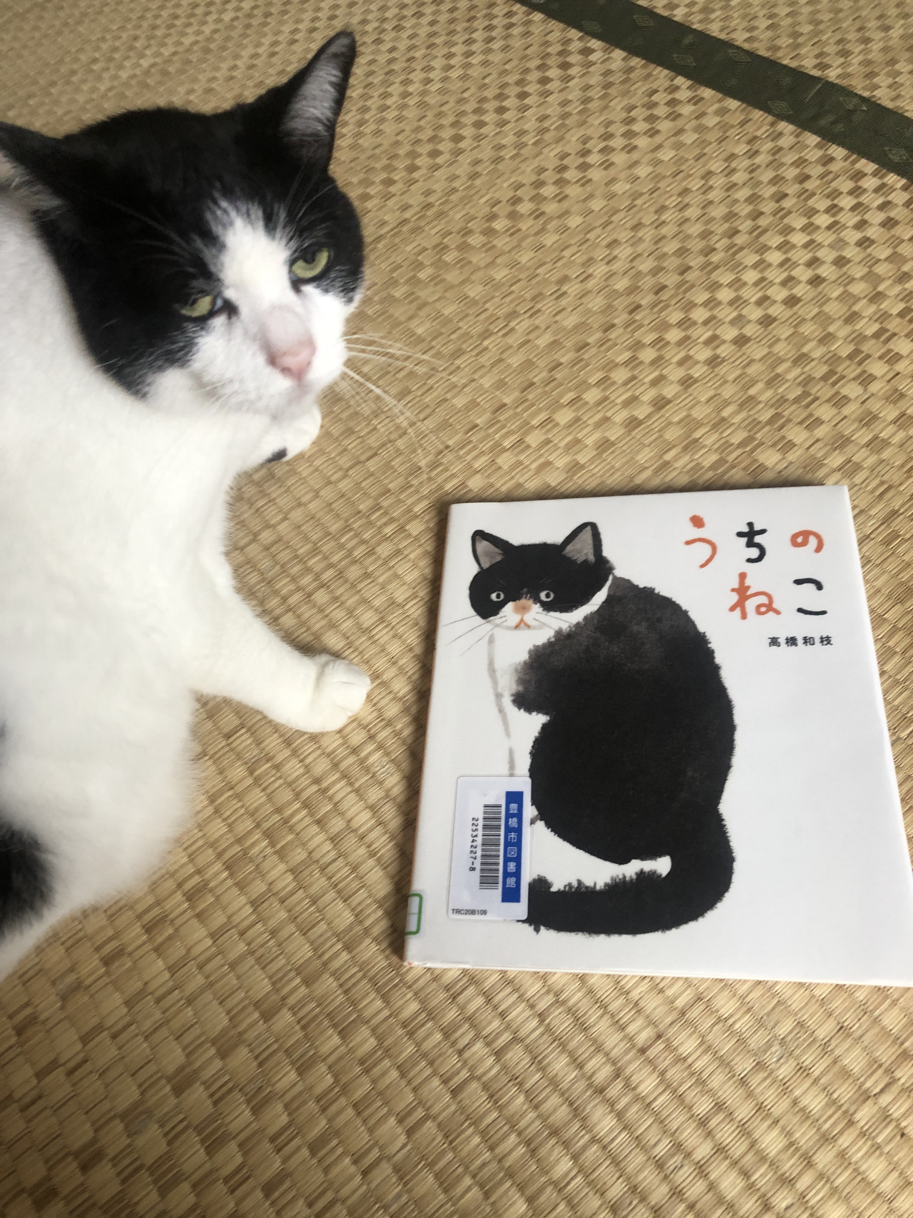 夏来たし、夏休み来るし。。。 夏来たし、夏休み来るし。。。