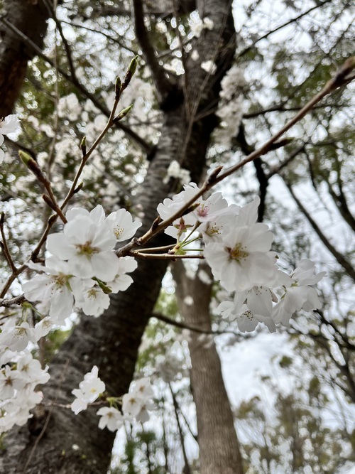 寒いけど◡̈♥︎