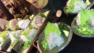 しらすの群れ