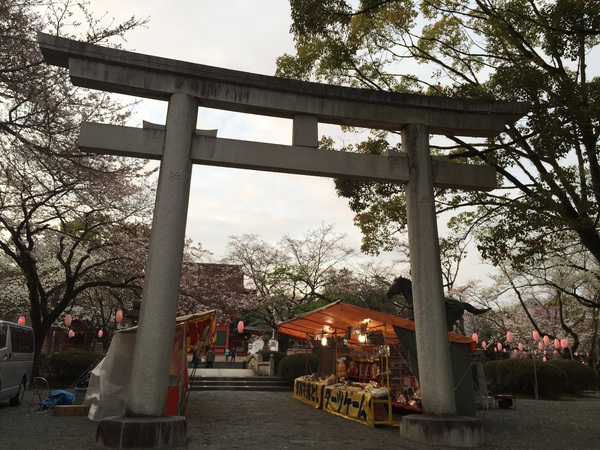 富士山本宮　浅間神社　　さん　　で　桜祭り～　　☆