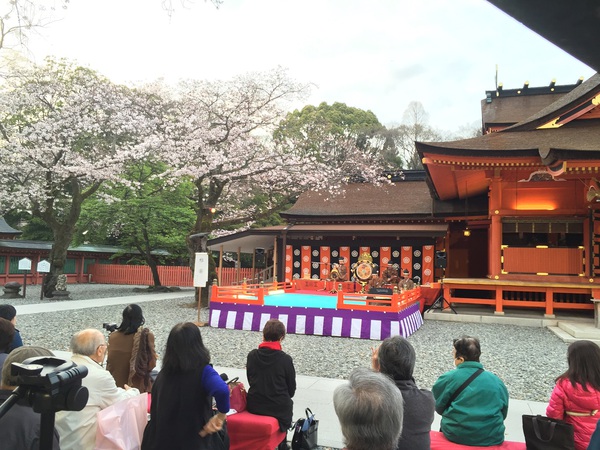 富士山本宮　浅間神社　　さん　　で　桜祭り～　　☆