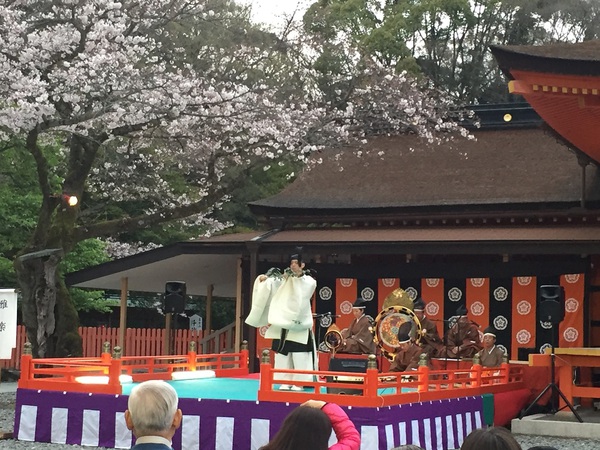富士山本宮　浅間神社　　さん　　で　桜祭り～　　☆