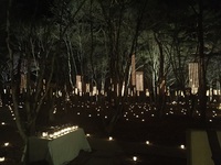 2015年12月26日