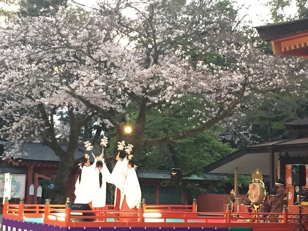 富士山本宮　浅間神社　　さん　　で　桜祭り～　　☆