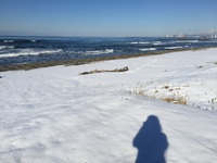 日本海　　は　　案外　　・・・・