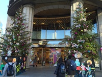 銀座　テクテク　も　いたしましたよん　☆