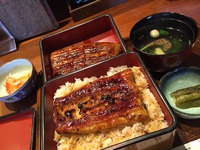 炭火焼うなぎ　専門店　　松葉　さん　で　　鰻重～　　☆