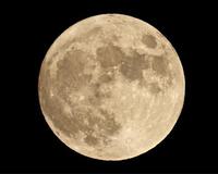 Hunter's Moon ハンターズムーン 2023/10/28 18:04:48