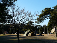 新春キャンプ 2024/01/05 15:58:03