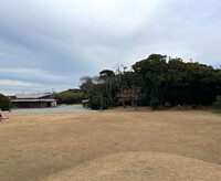 本日のキャンプ場の様子 2024/01/11 14:10:37