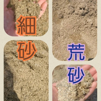 砂