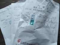 肺炎一歩手前でした(笑)＆7/12(日)はなでしこまつり
