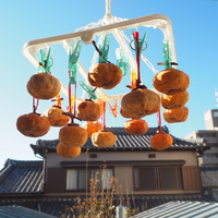 干し柿