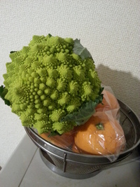 お野菜は田原で