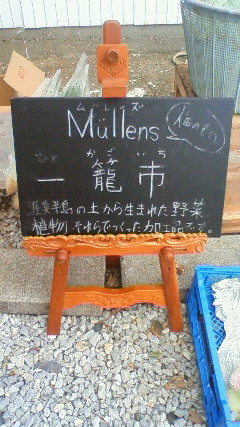明星ライブラリーさん