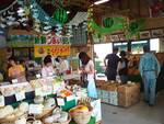 めろん、メロン、MELON！